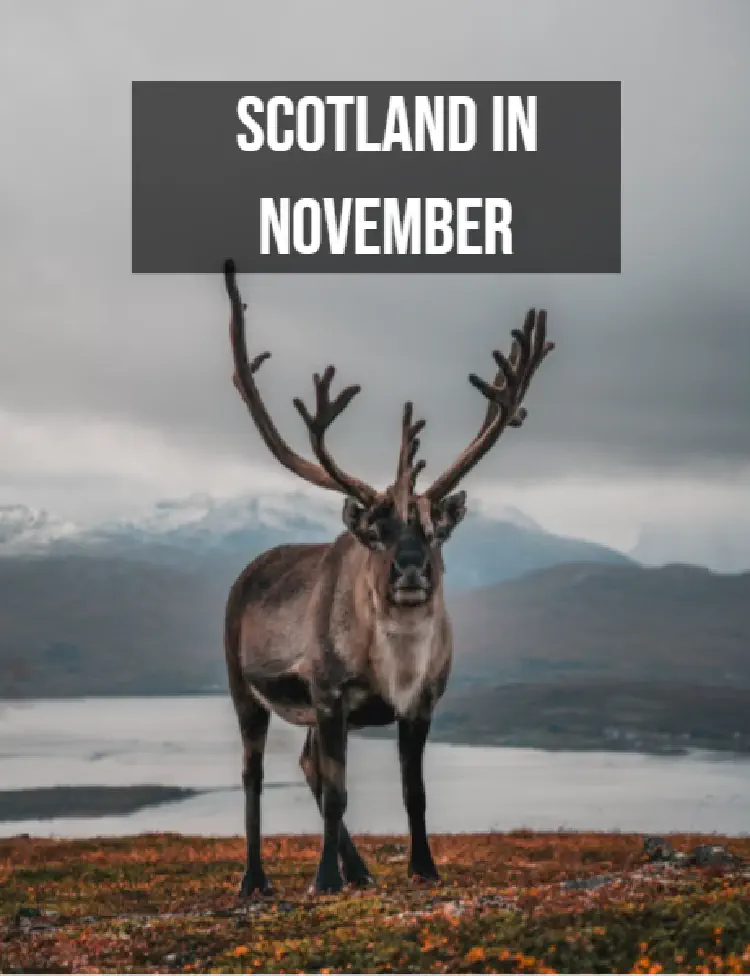 Visit the Scottish Highlands in November 2025: The Ultimate Off-Peak Adventure for Smart Travelers
